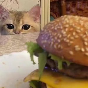 国产在线视频第一页
